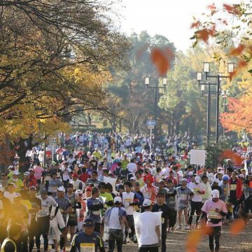 H Elemental πραγματοποιεί με επιτυχία τη πρώτη ζωντανή μετάδοση 4K HEVC