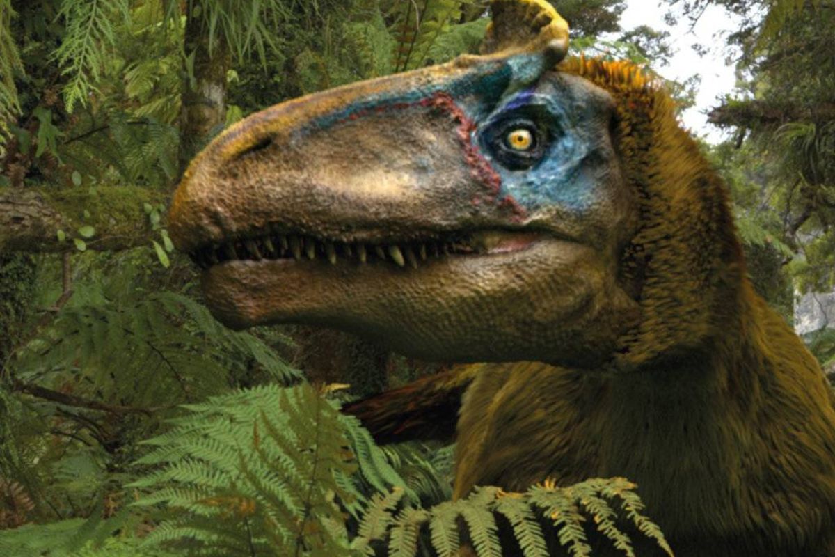 443d5c943d895ae45904a22e196e67d7 XL 9a86c2a0