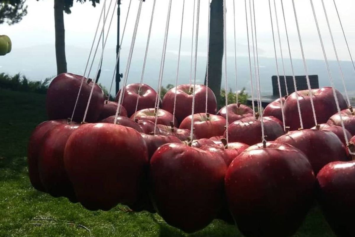 6b559372adbc98b8caff786e0b579682 XL 9a4f694f