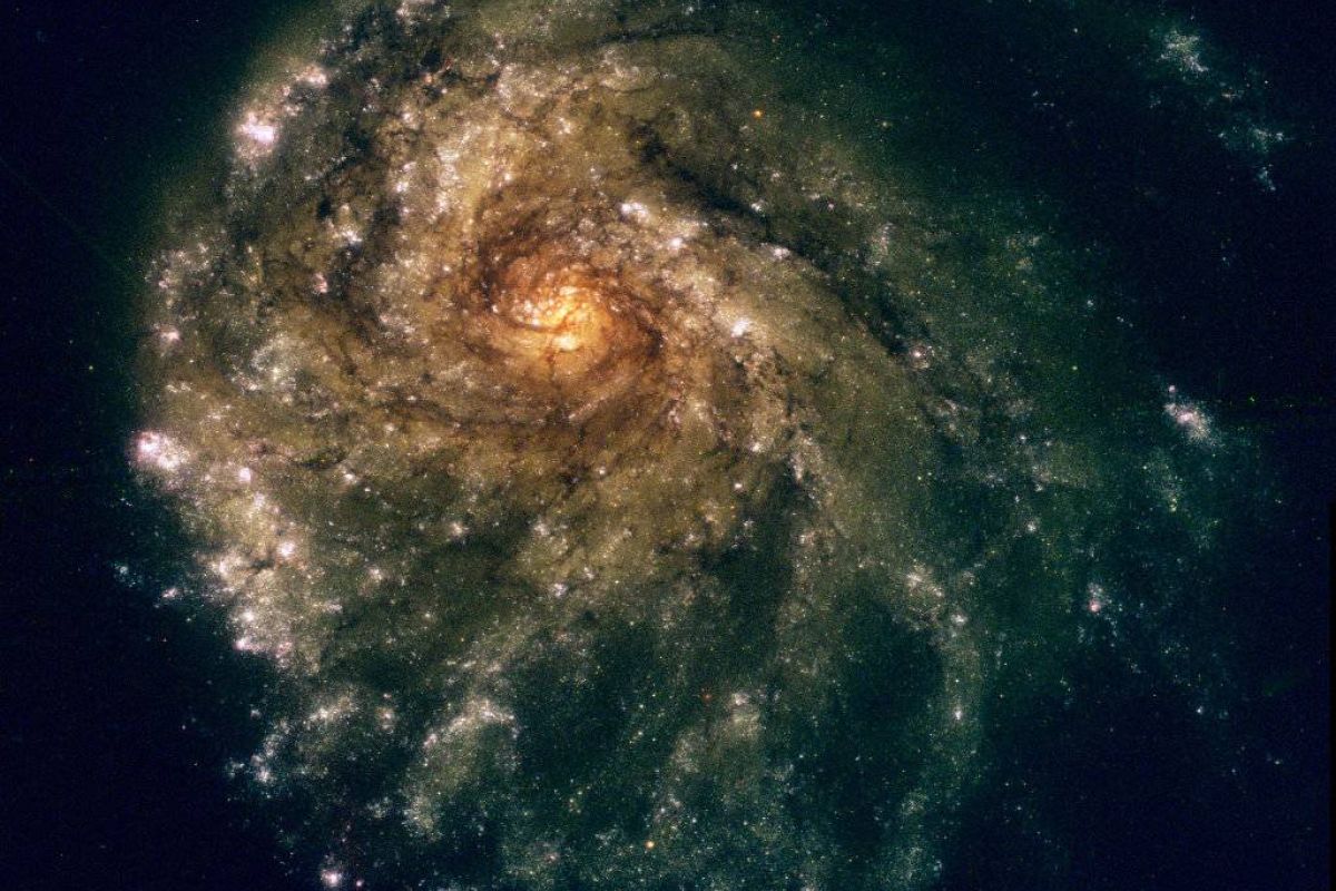 77263c9e1bbd2667d6a89403274e0b21 XL 9a11ce5c