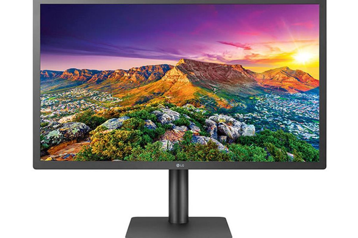 d66f8c862989fb2e7f94bbda1218b259 XL 9a8583a5