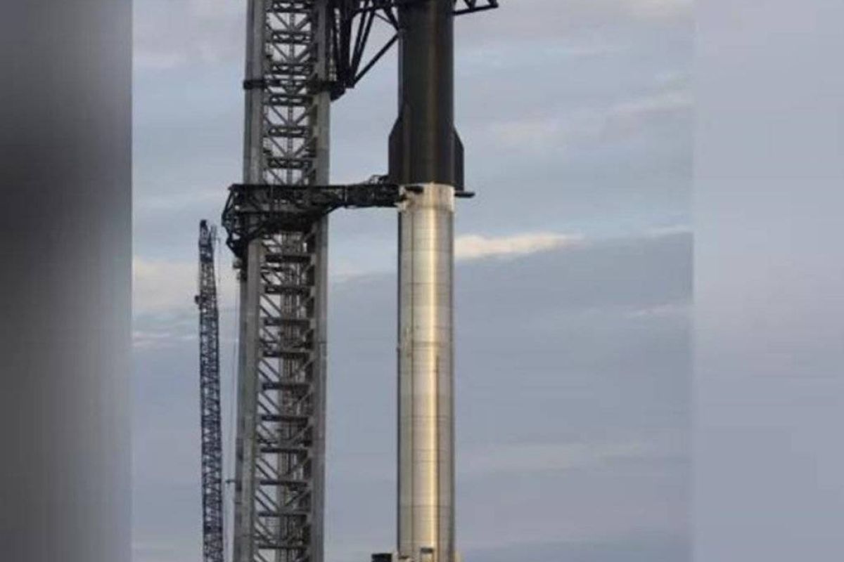 ef5ea9fa01a5890701b00a7d0d2370a1 XL 9b457fe8