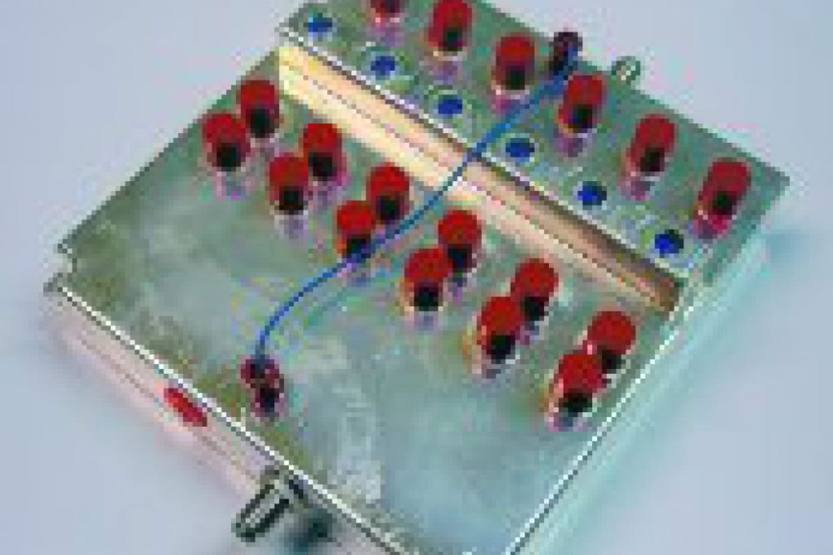 59623cd7f982faeeff69346171583ee3 XL 9c3b0b42