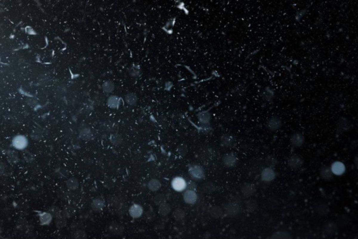 7dd062d44586f73e0eee9f0efa301217 XL 9cfe3c54