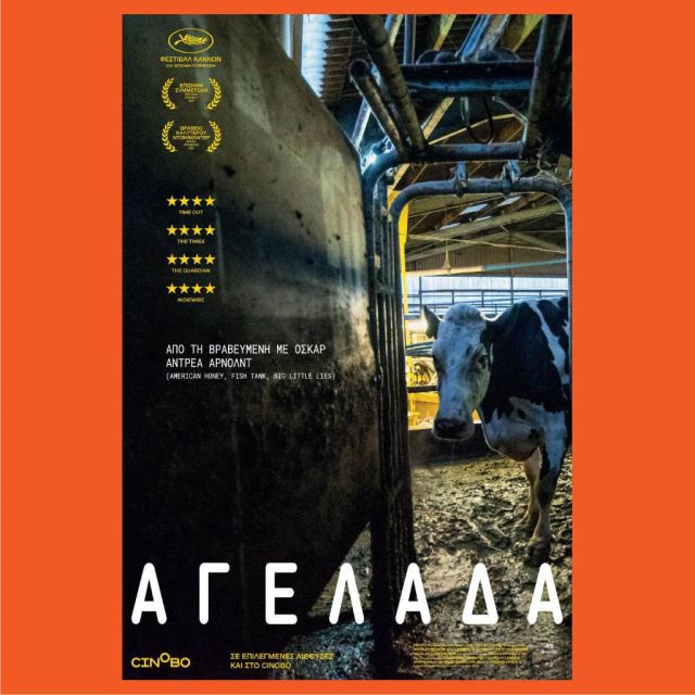 Αγελάδα – Από 3 Μαρτίου στους κινηματογράφους και σύντομα αποκλειστικά στο cinobo.com