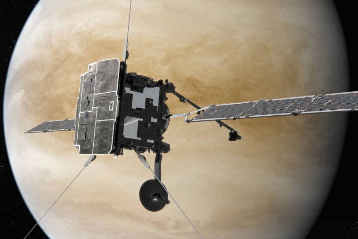 20e1bfb4f5a666f703f69ba98f9918c5 XL 9d7f441c