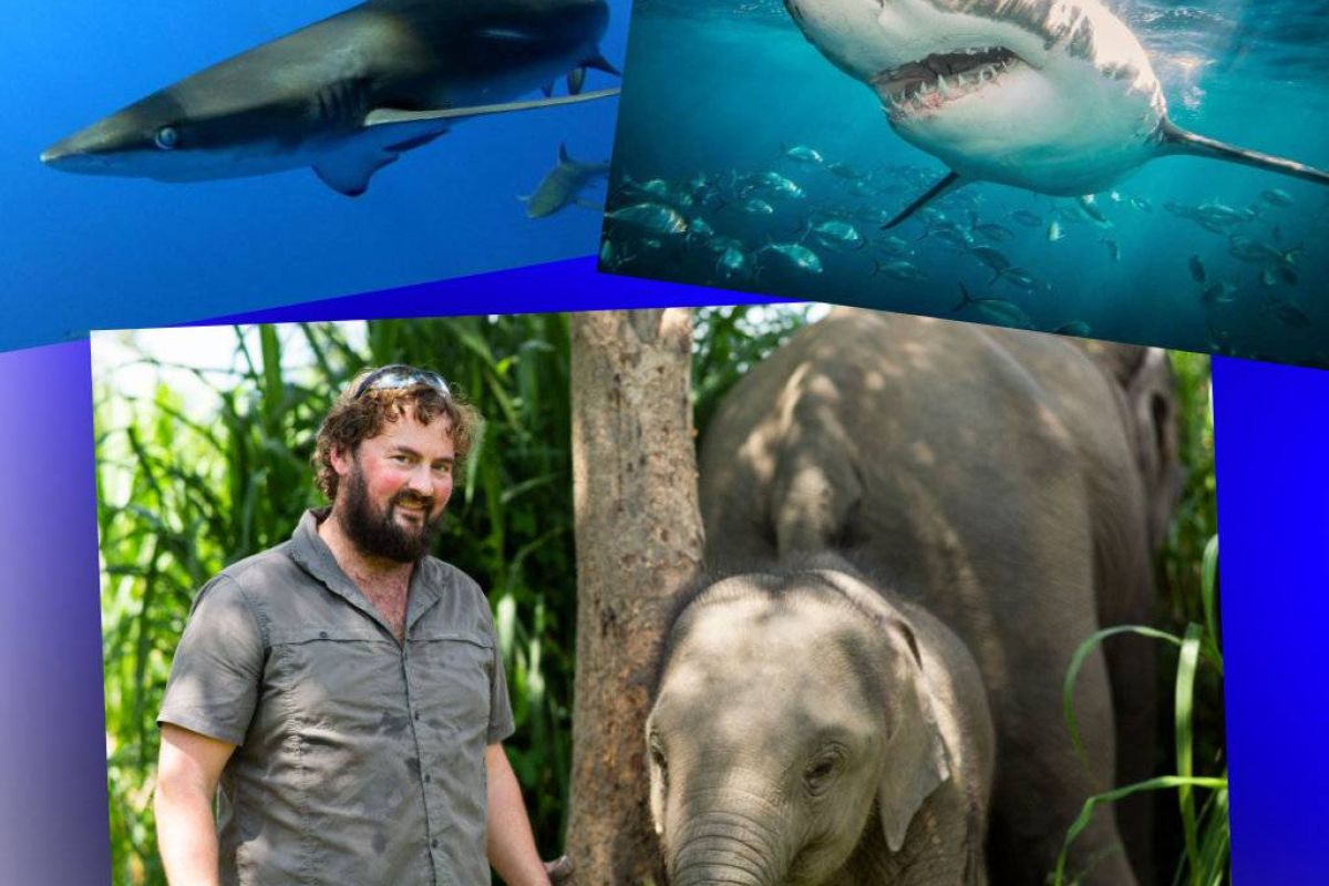 664392843c51478892effb7d262fe97d XL 9d4995f8