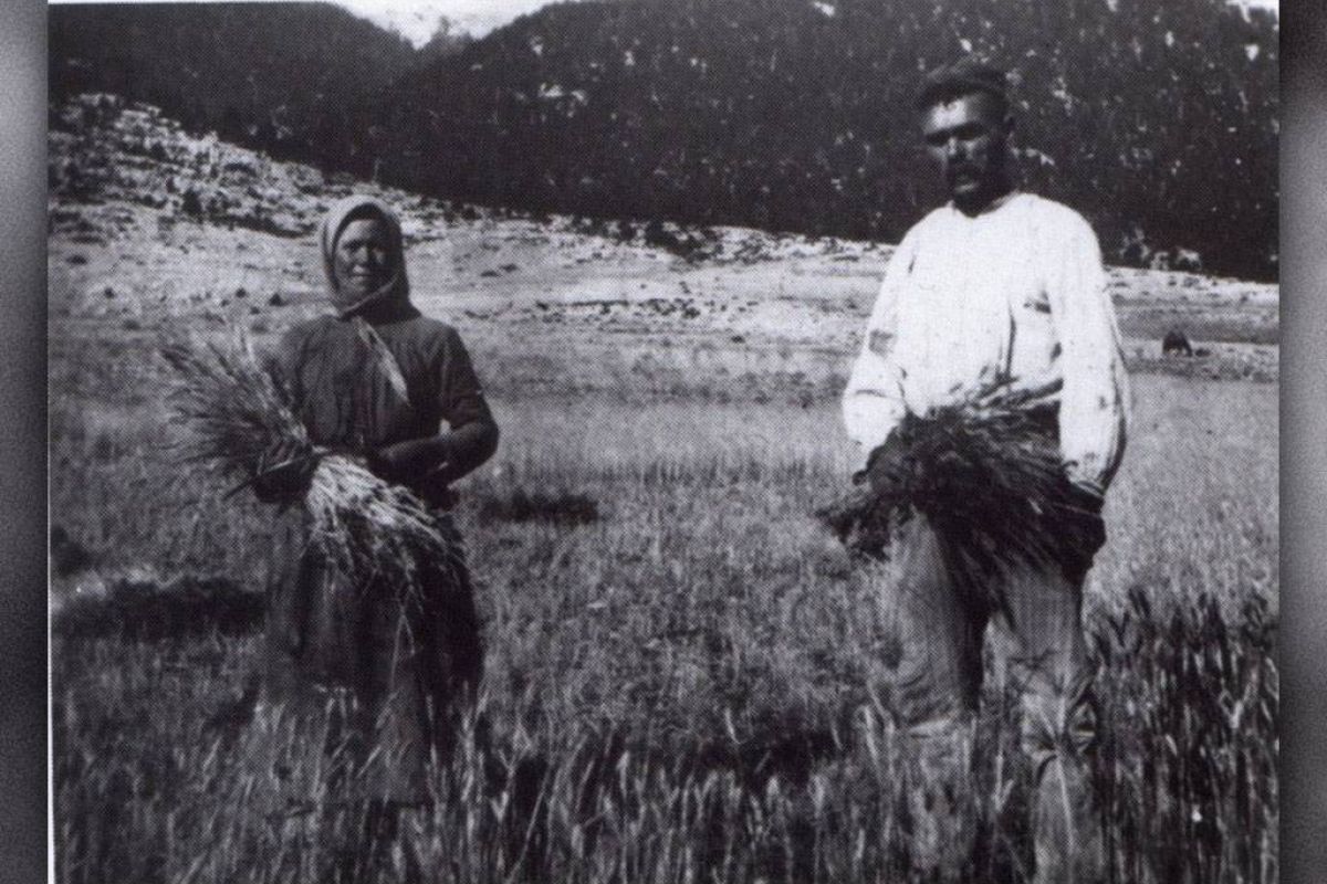 8b95958ec4a164f5150ed21852b29e44 XL 9d58a2d1