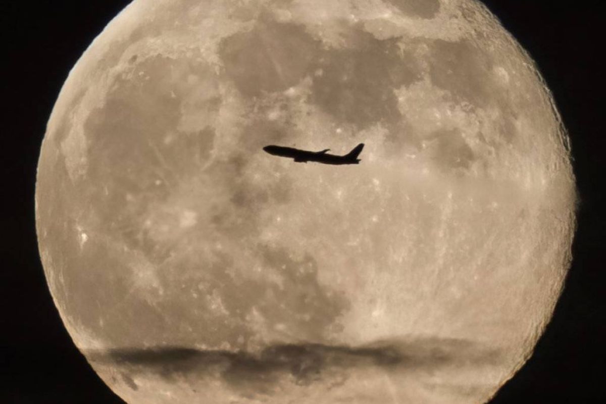 935d90532d6139556e1687b48d9ceb71 XL 9d84b9f4