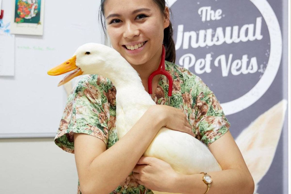 Κτηνίατροι αλλόκοτων κατοικιδίων: Γνωρίστε την ομάδα της νέας σειράς του Viasat Nature