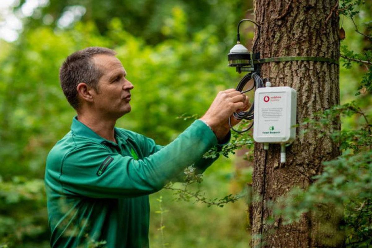 d406c2e5b9a0db475721a65c4b9cea87 XL 9df61fdc