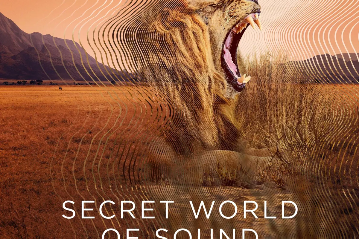 Viasat Nature_Attenborough_Sounds_of_Nature_Square_Crop_1x1