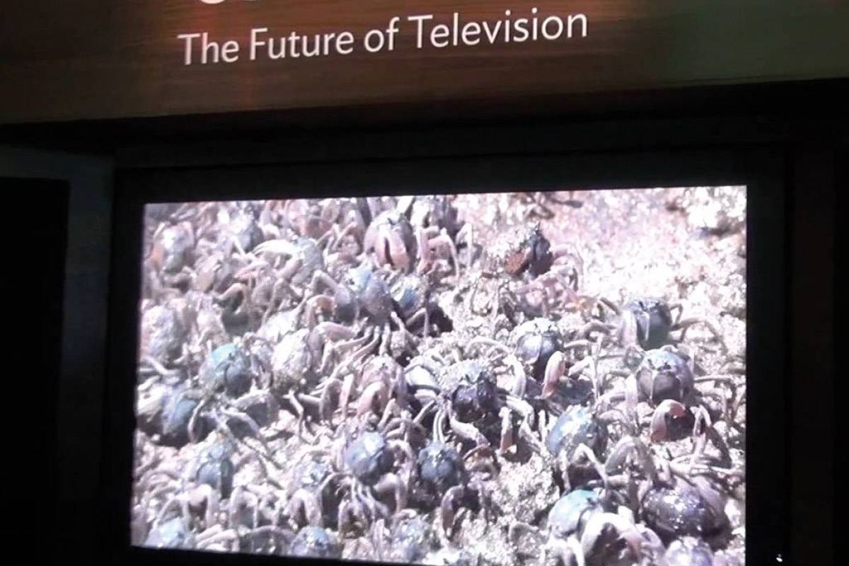 833d193216e6269040ba910c730296c9 XL 9e59349b