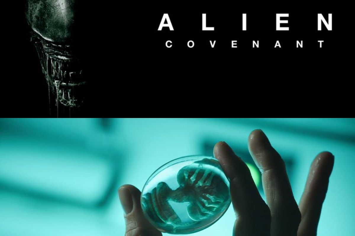 19313edd90a46262aa8cb353a2bb2855 XL 9f4f49d0