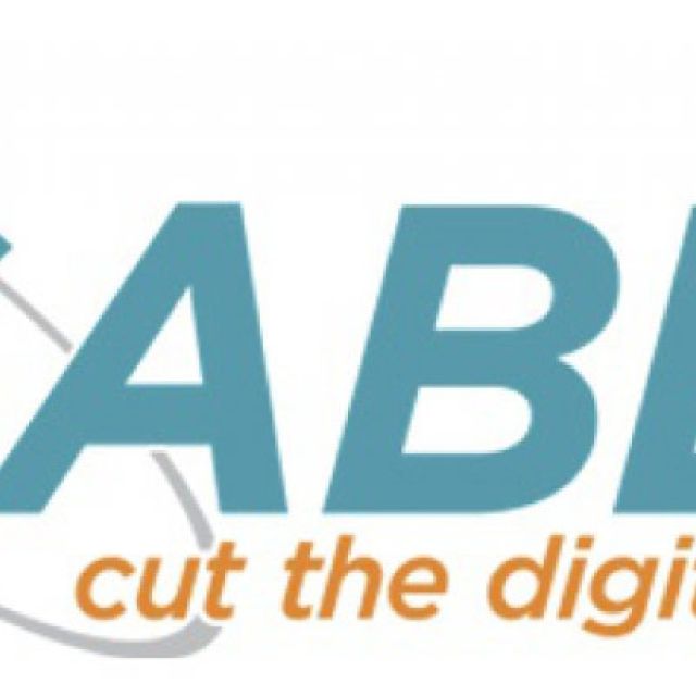 Γεφύρωση του ψηφιακού χάσματος στην Ευρώπη με τη βοήθεια του SABER