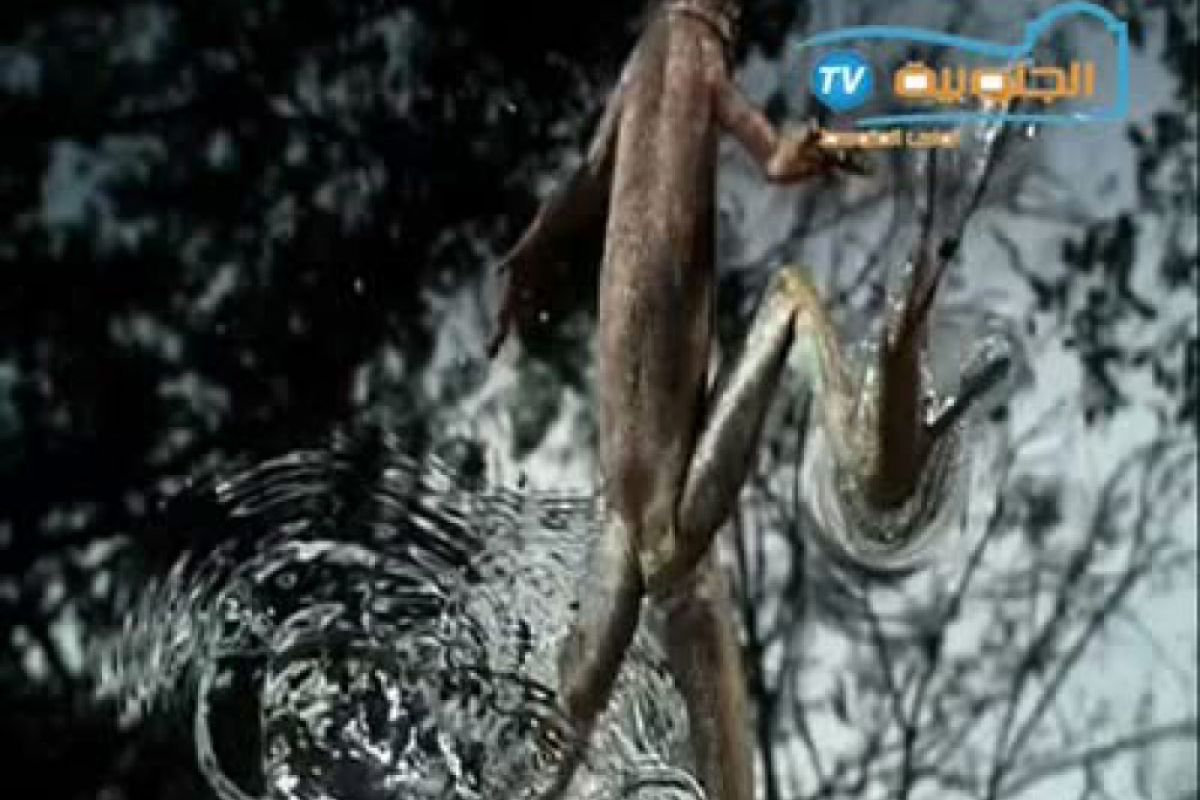 3d0223fe058256f9567f62217dd299ae XL 9f37e5cf