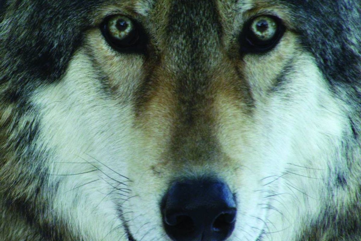 6e14afec1e77a08e5dedfbdcaf699dc8 XL 9fd3cfad