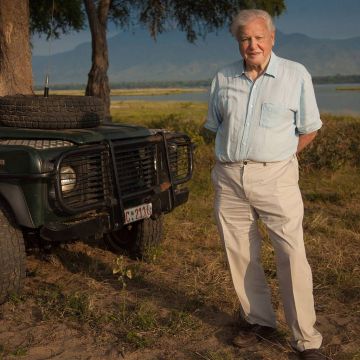 Dynasties: η πολυαναμενόμενη σειρά ντοκιμαντέρ του BBC Earth έρχεται στην COSMOTE TV