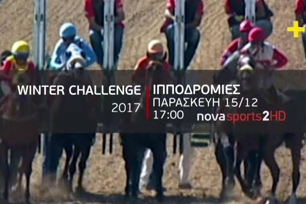 560e841d11da2245a153136b8e320252 XL a0341e41