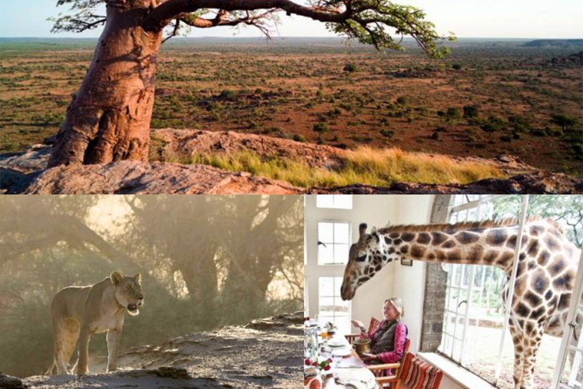 5634d5b6d459f29c43ed43c806d92ea2 XL a19a00a1