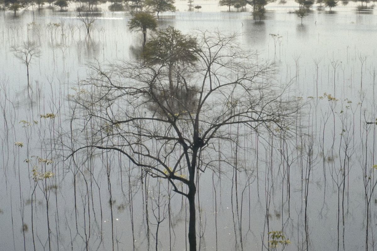 Untitled 1 61 a1799549