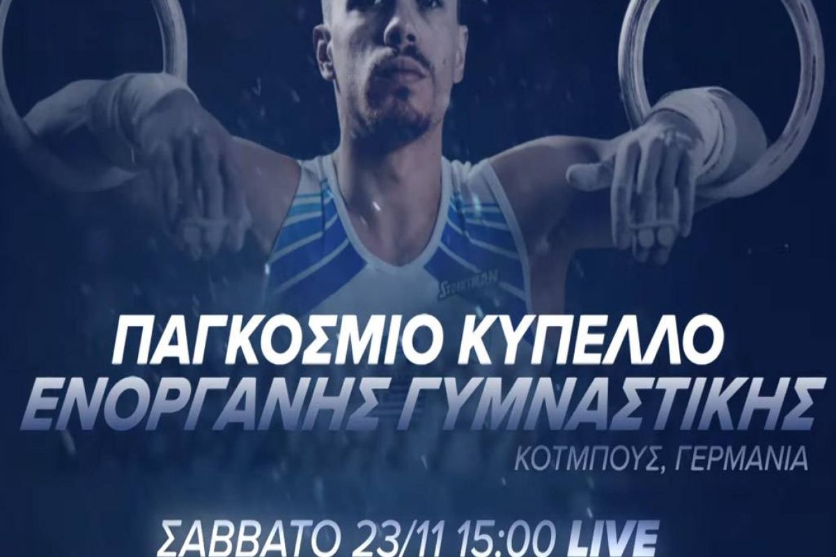 db0bf4366679a03eaf9ed201651efc5c XL a164cd2c