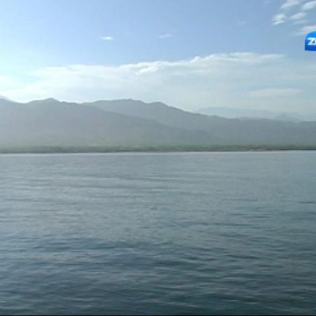 Canal Zoom Colombia – 40.5 West