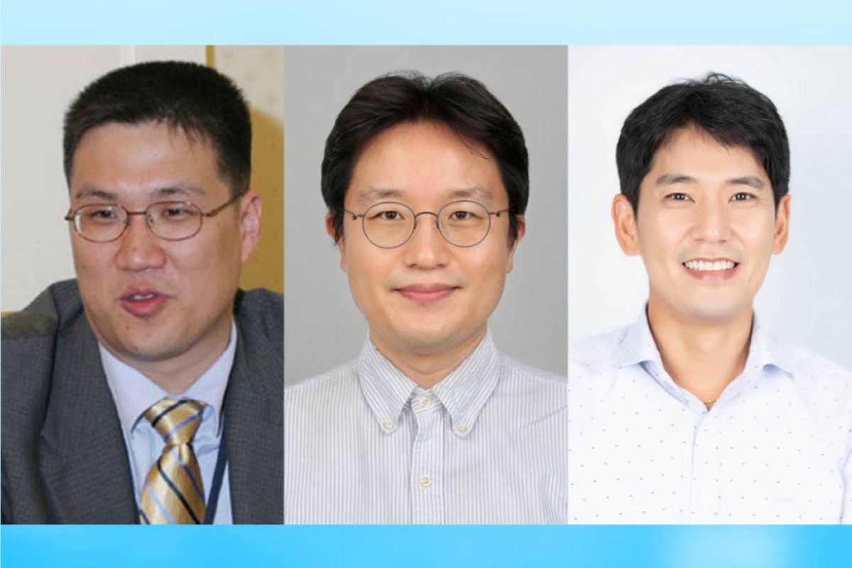 3ed937ec9d1a08a81e703f3704c30527 XL a2e569fe