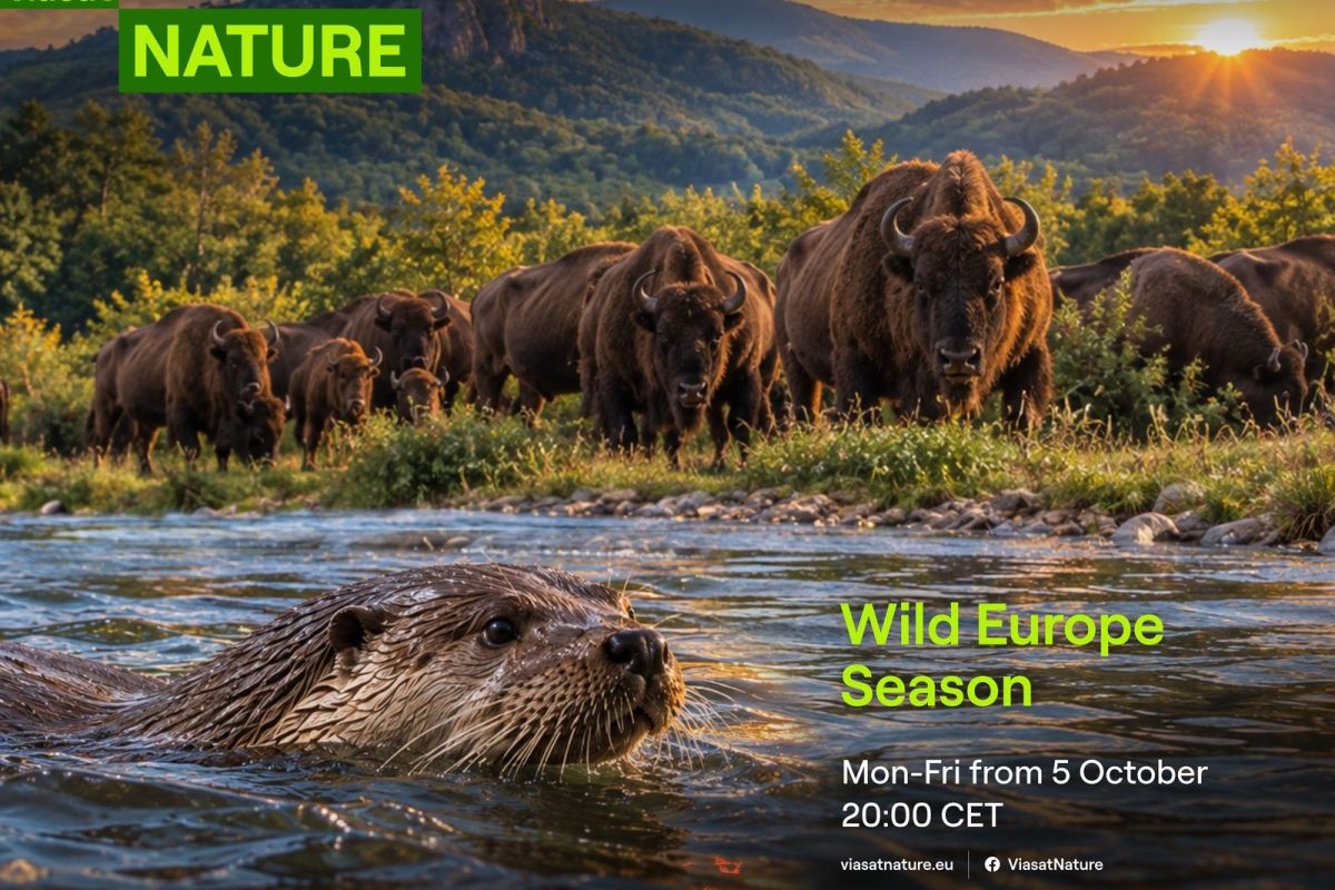 Viasat Nature_Wild Europe Season_Landscape