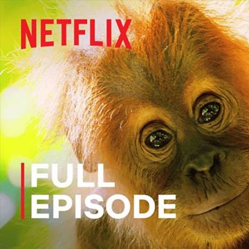 Netflix: Δείτε δωρεάν μερικά από τα καλύτερα ντοκιμαντέρ της υπηρεσίας