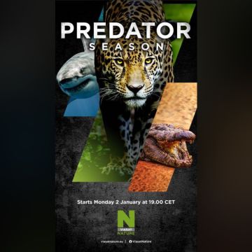 Ιανουάριος στο VIASAT NATURE: Πρεμιέρα για τον «πλανήτη του κοραλλιογενούς υφάλου»