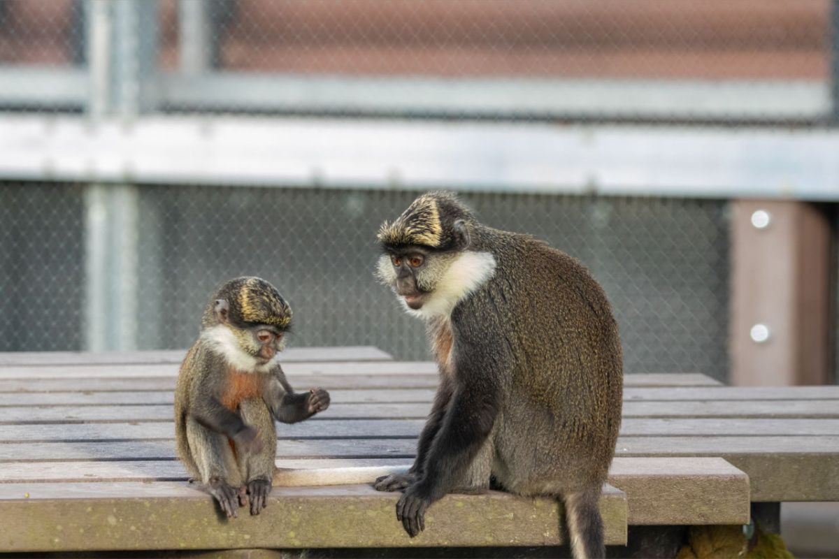 1280 square 84 a47cbc23