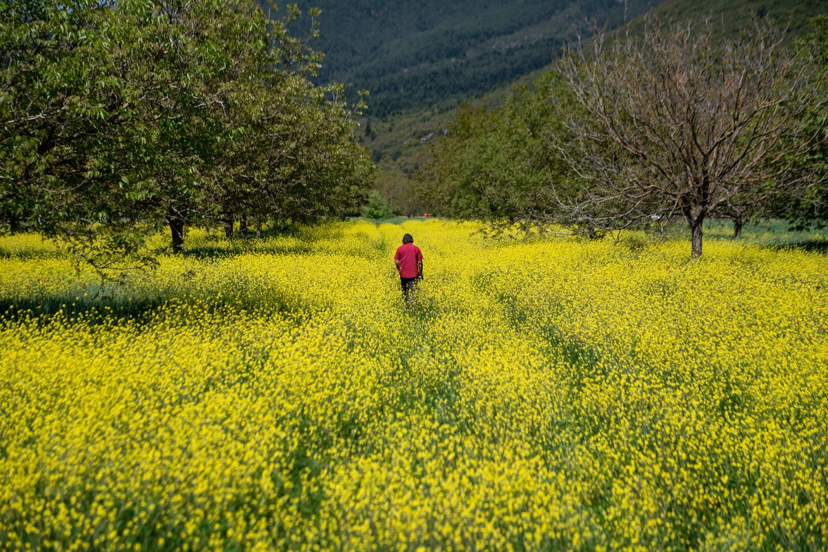 Sporos ERT3 DocSeries 3 a43afca1