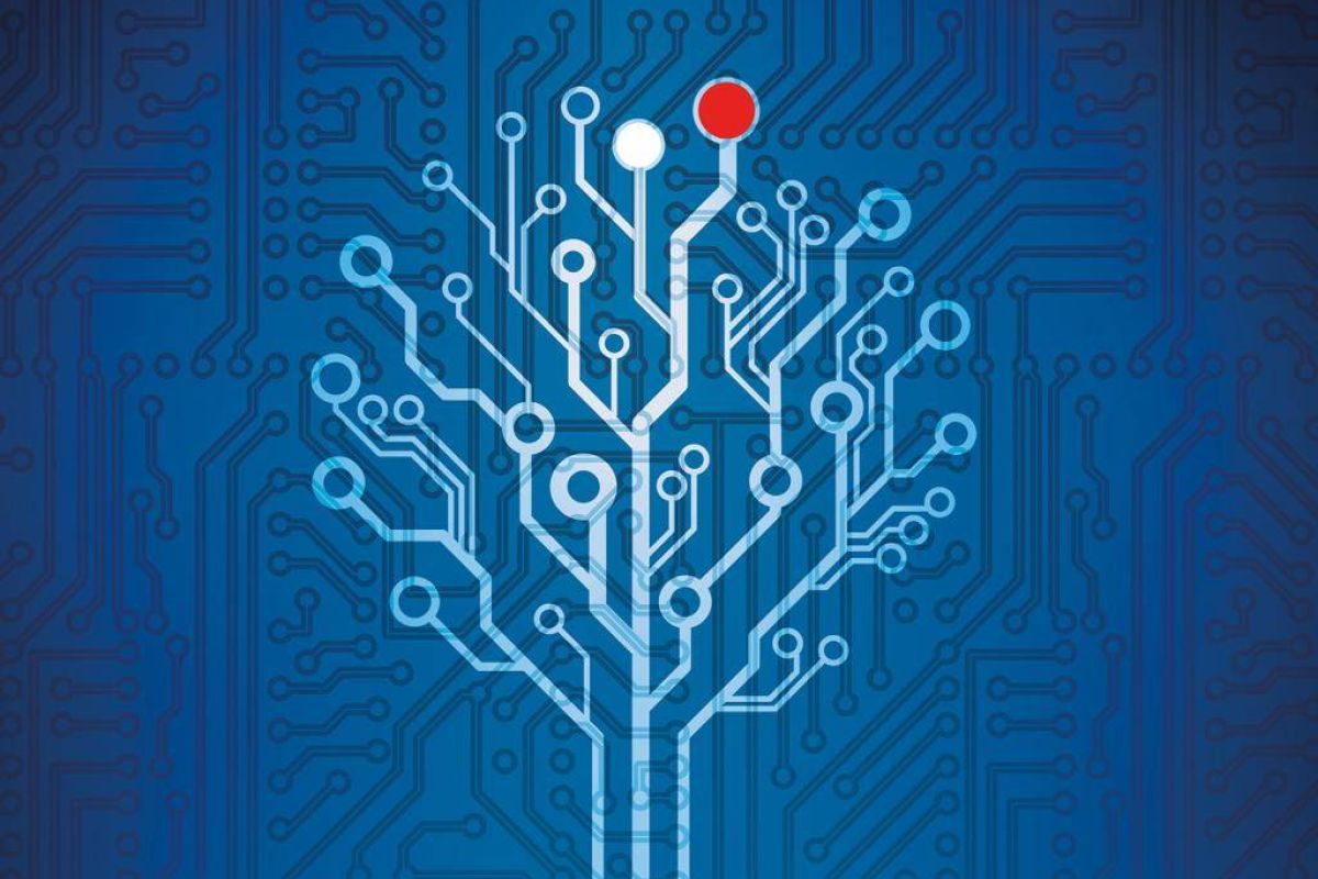 b8730dc8298ca7a52ccd7088e40ef065 XL a4fff26c