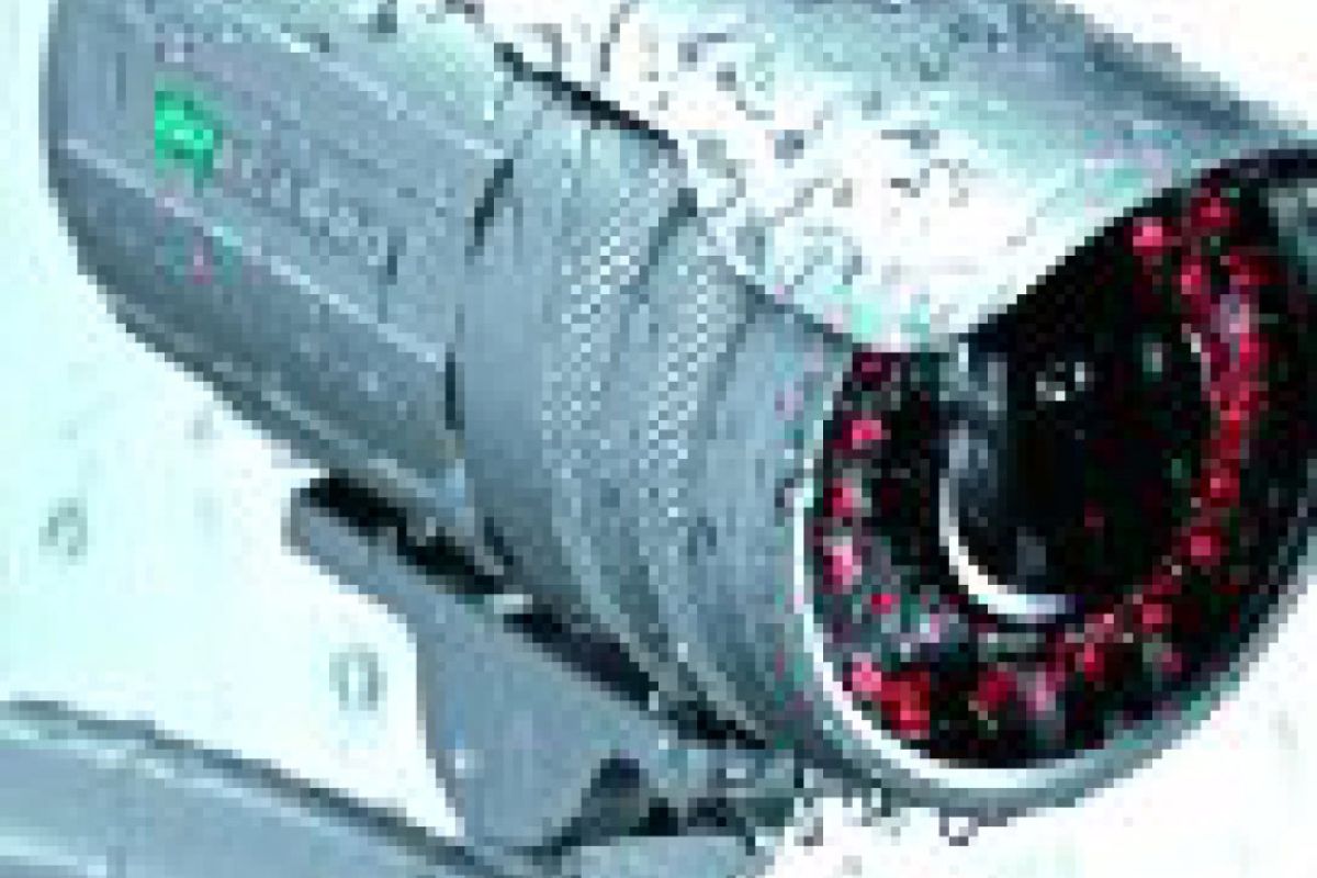 ce295c14407ef991a08b3dc3e54db04d XL a43bd349