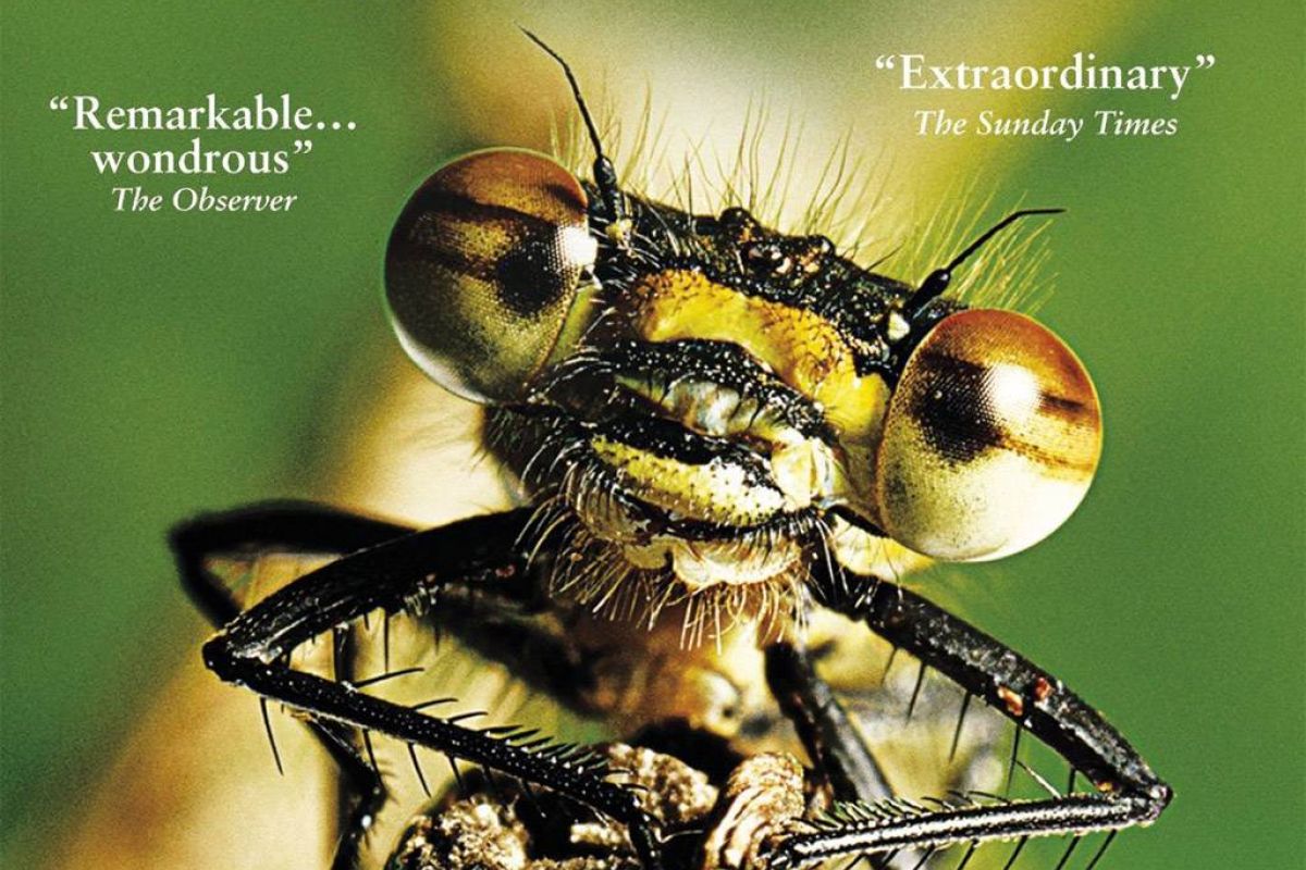 8dd5cb878cade000eae6c84090f8602d XL a5c4530f