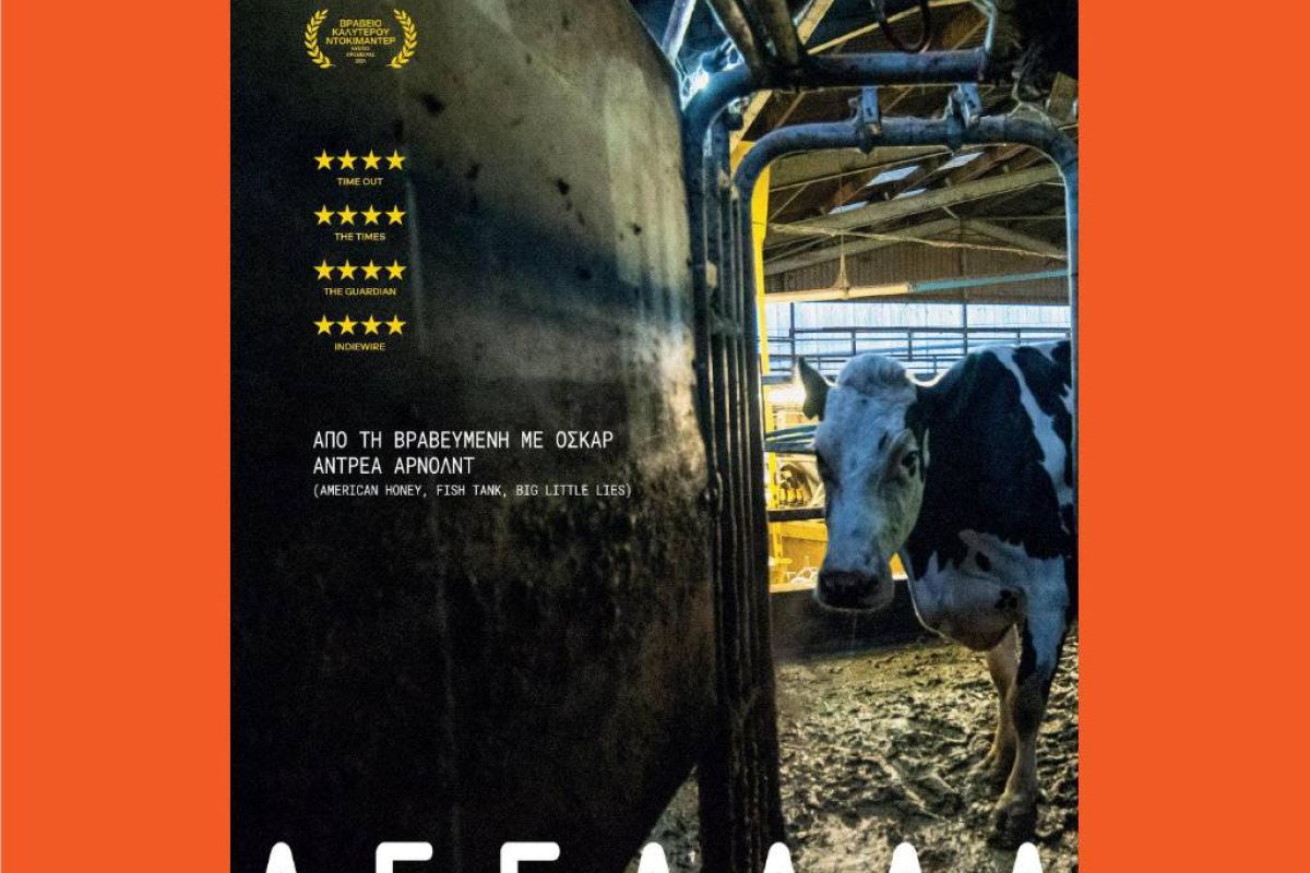 1d6afc56c11d0f5677fdcaec28677ac0 XL a6e9e410