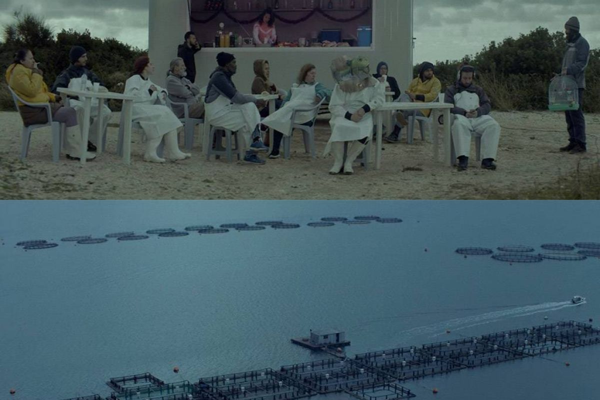 33865f887f4e8b80619fe4a0641b8d94 XL a6d7c7f6