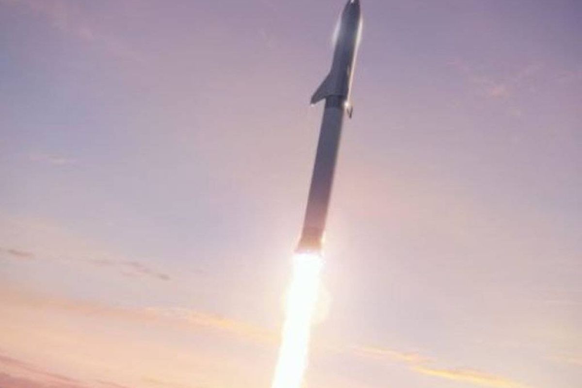 481c543931788a0a5cbcd69acfa25ba6 XL a626e2f0