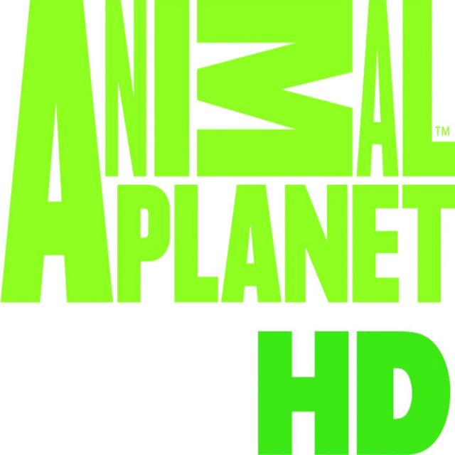 OTE TV : Προσέθεσε τα Animal Planet HD, Mezzo, Discovery IDX, Discovery Science HD !