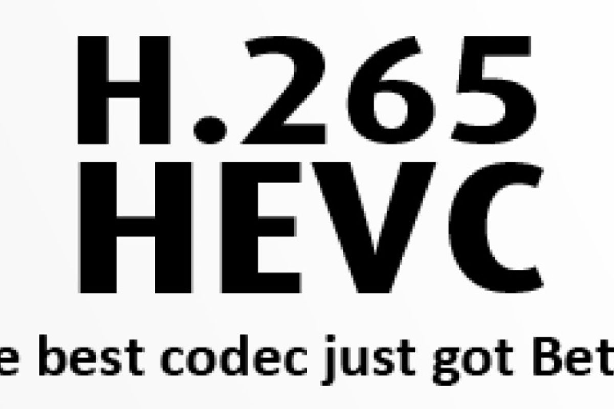 40d0140983445f5e86b79526fd64258c XL a7e95a8d