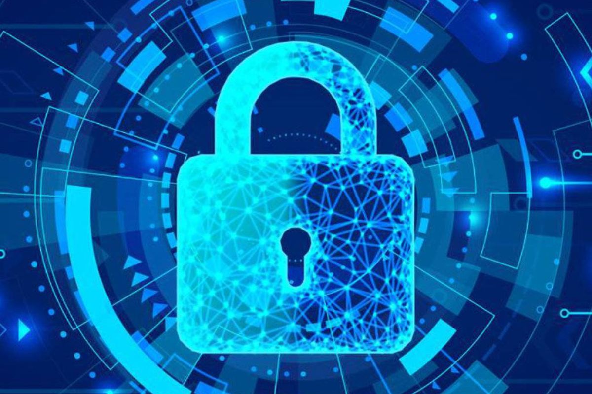 50223be50c9d2636cb2bdf694913c667 XL a7a25b9e