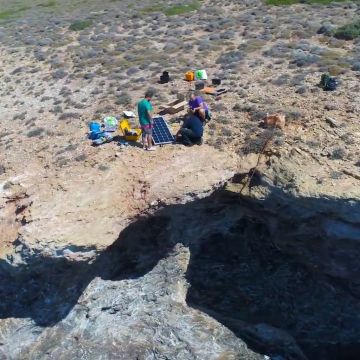 Η Vodafone Ελλάδας συμβάλλει στην προστασία της μεσογειακής φώκιας αξιοποιώντας  το Internet of Things σε συνεργασία με τη ΜΟm