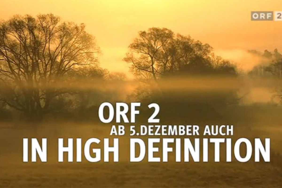 b994a44b912595b1e01936bd3fd09bbc XL a7bc0f97