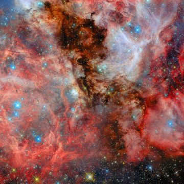 Το Hubble ζουμάρει σε σούπερ αστρικό μαιευτήριο