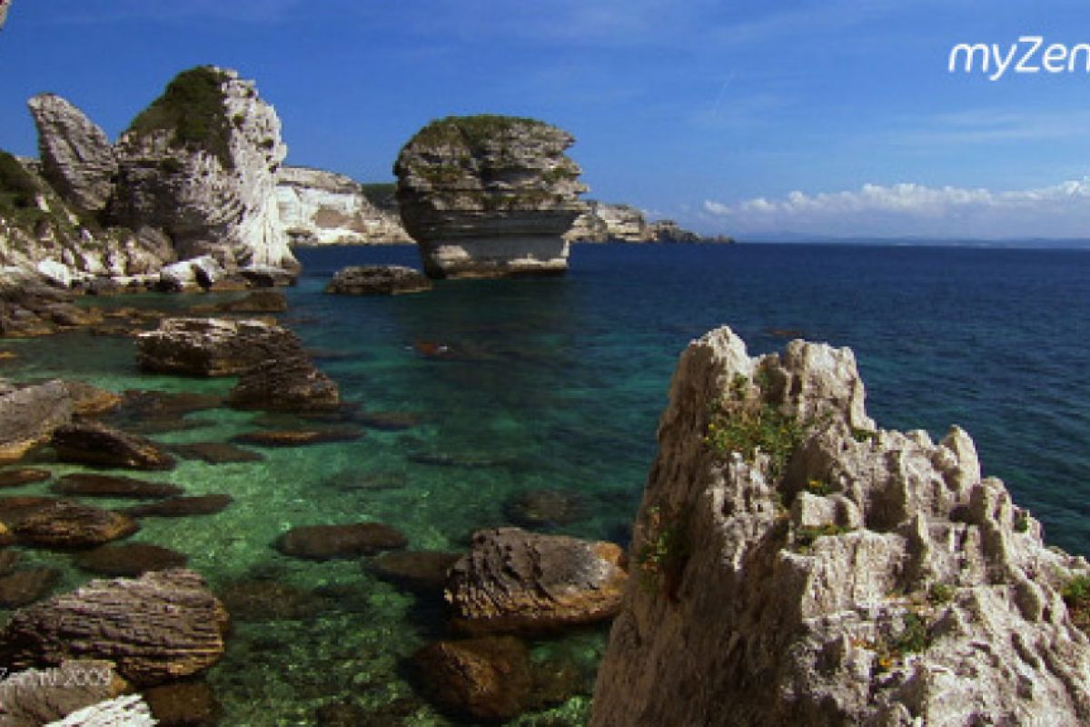 15a7d825cc80c57e4a65bf918abad863 XL a9bf28bd