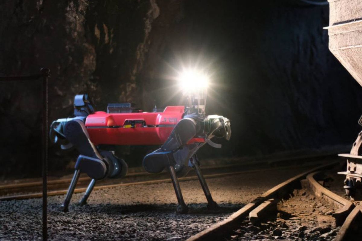 d899429c06b8694125860678c9934964 XL a9aa1534