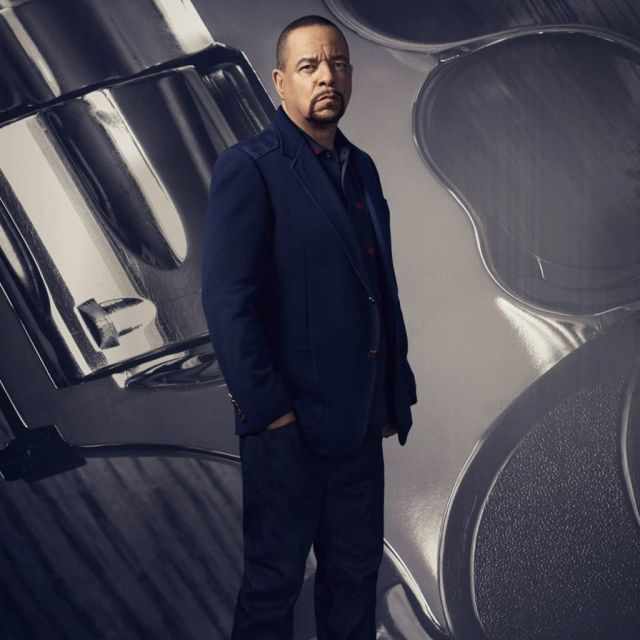 Νόμος και Τάξη: Ειδική Ομάδα – 19ος κύκλος