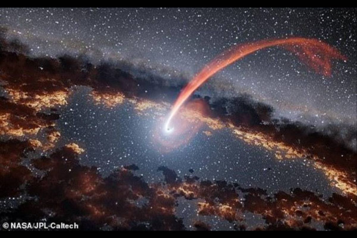 4592d1a2a8e626d94253b94459a3c5be XL aaca8a18