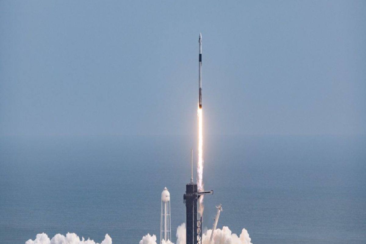 521c3b2e7e1bd59f2873cdac26d637d1 XL aacb7f7c